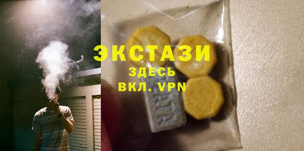 индика Новозыбков