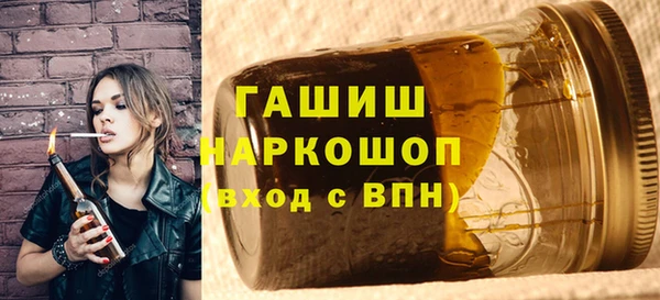 индика Новозыбков