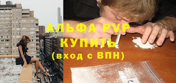 индика Новозыбков