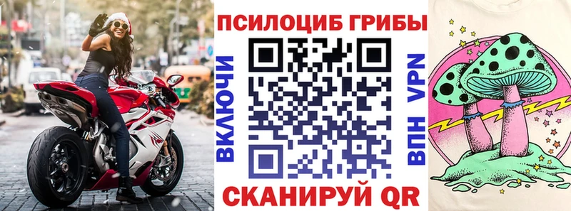 Псилоцибиновые грибы мухоморы цены Белёв